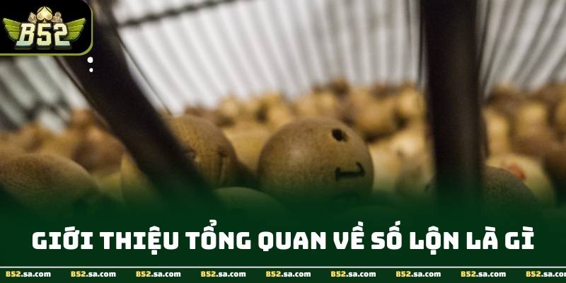 Ví dụ minh họa cách xác định số lộn tại B52